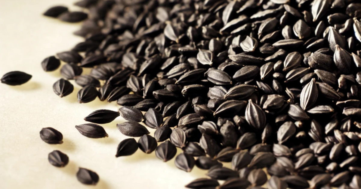 The Powerful Health Benefits of Black Seed (Haba Sawda)